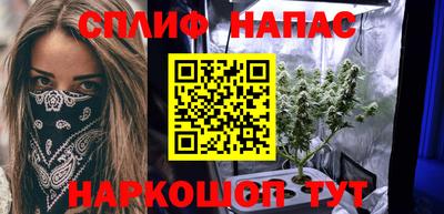 гидропоника Будённовск