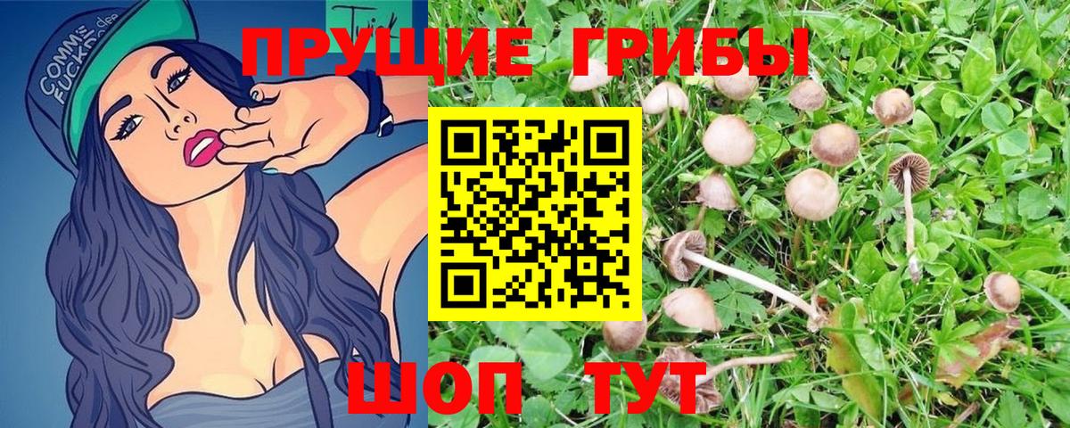 Псилоцибиновые грибы Psilocybe  Вход с VPN  Галлюциногенные грибы Psilocybine cubensis  Чайковский 