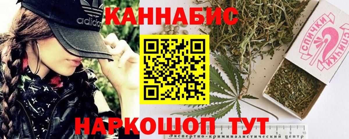 Конопля SATIVA & INDICA  МАРИХУАНА гибрид  Чайковский  Канабис семена  Вход с VPN  Марихуана сатива 